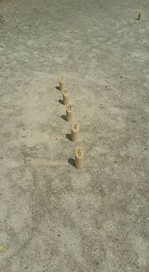 molkkout-6-4-12-10-8